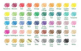 Lápices Colorear 50unidades Largos